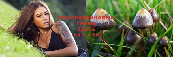 дурь Арсеньев