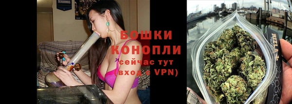 дурь Арсеньев