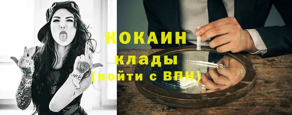 крисы Дедовск