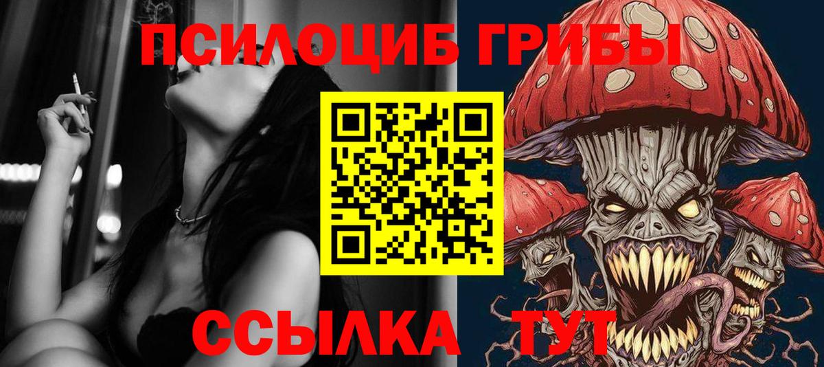 Галлюциногенные грибы прущие грибы Ленинск-Кузнецкий
