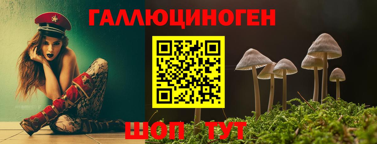 Галлюциногенные грибы Magic Shrooms  Вход с VPN  Ленинск-Кузнецкий 