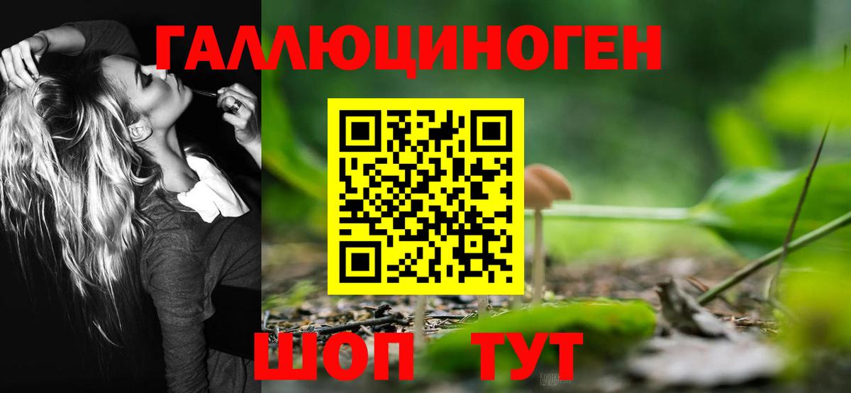 Галлюциногенные грибы мухоморы  Ленинск-Кузнецкий  где купить наркоту  Псилоцибиновые грибы Cubensis 